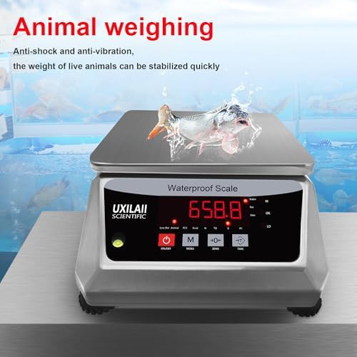 Professional waterproof stainless 15kg scale — photo 4